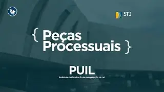 Pedido de Uniformização de Interpretação de Lei – PUIL
