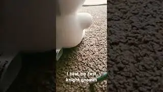 beat my first knight