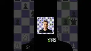Witty Alien's Brilliancy Never Ends 🥶 | #chess #shorts #wittyalien #chessshorts
