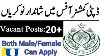 Deputy Commissioner Office Jobs 2022 | DC Office Musakhel Bharti 2022