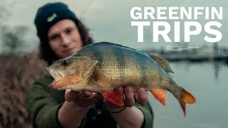 Nach Hochwasser Barsche und Zander finden | Greenfin Trips 01