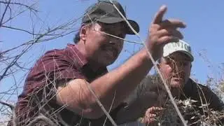 PESADILLA EN EL DESIERTO (PELICULA COMPLETA)