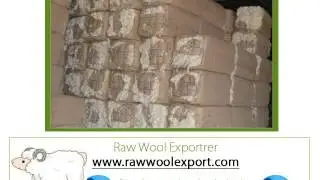 Raw Cashmere Wool Exportrers