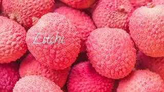 Hjemmelavet is og sorbet med eksotiske frugter