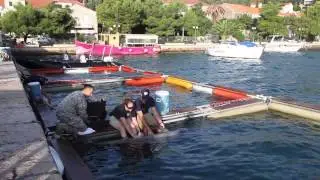 US Navy Marine Mammal Program 