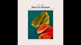 Raptus Sound - Music For Museums