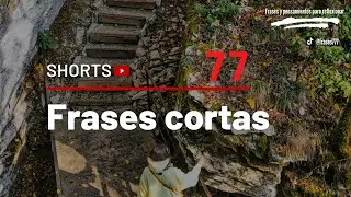 #FRASES CORTAS PREMIUM, PENSAMIENTOS, #AMOR, #REFLEXION, #MOTIVACION... #77