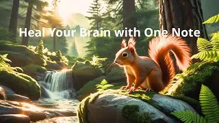 Relaxing healing piano to release emotions, restore peace and awaken brain clarity