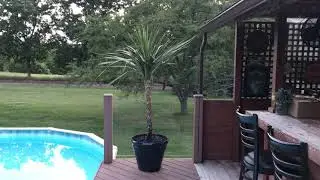 Spike Plant 7-5-2020