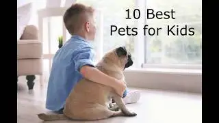 10 Best Pets for Kids