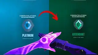 Ranking Up Playing SMOKES Only In VALORANT