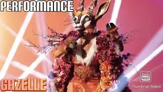 Gazelle Performs 