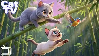 Cartoon for Cats: Best Videos Relax & Entertainment for Cats | Cat Videos for Cats With Bird Sounds