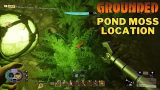 Where To Find Pond Moss in Grounded | Grounded Pond Moss Location