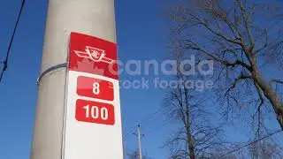 TTC bus stop on cement pole stock video. Numbers indicating routes. Toronto, Canada 4K Royalty Free
