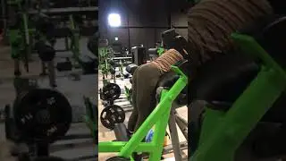 Glute Hyperextensions on Atlantis Machine with Georgina DAbreo IFBB Pro