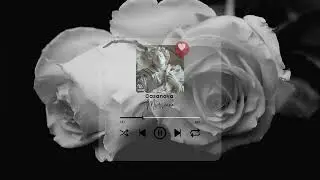 MVRSIANO - Casanova