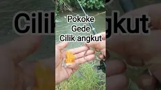 Pokoke gede cilik angkut #mancing #mancingasik