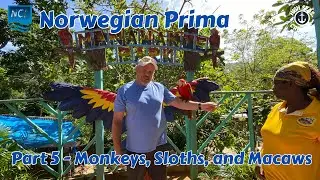 Monkeys, Sloths, And Macaws In Roatan - Part 5