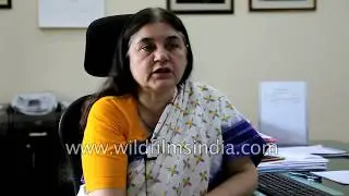 Maneka Gandhi, Minister for Women and Child, Government of India speaks about being vegetarian
