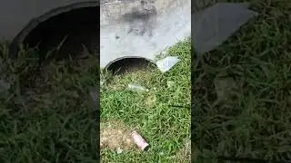 MENTANG RAKYAT BAYAR GAJI STAF MAJLIS PERAK TENGAH MALAS NAK MAMPOUS !!!!!!!!!