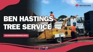 Ben Hastings Tree Service - Tree Removal Central Coast Erina, NSW | Arborist Central Coast