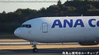 [最後のJA8000番台] ANA Cargo Boeing 767-300ER(BCF) JA8970 landing @ Narita RWY34R [February 1, 2026]