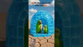 Parrot enjoying in ice house 😱 #parrot #ai