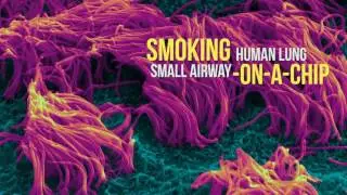 Harvard has built a cigarette-smoking robot, and it's here to help | NewsiSma