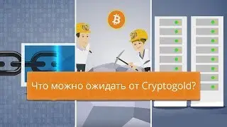 Что можно ожидать от Cryptogold?