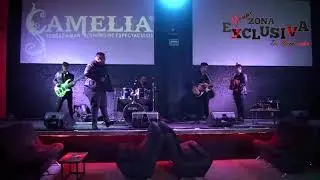 El Afro - GRUPO ZONA EXCLUSIVA DE MORELIA MICHOAC&Aacute;N
