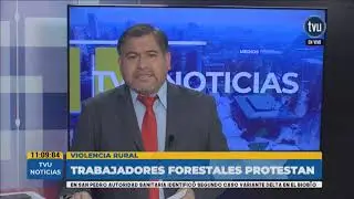 Trabajadores forestales se movilizan: &iquest;Qu&eacute; pasar&iacute;a si decidieran defenderse de ataques incendiarios?
