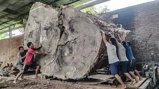 INSANE DISCOVERY! Monster Log Cutting at the Big Sawmill Ends in Total Shock
