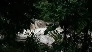 #HurricaneLane  Piihonua Raging River Hilo hi 96720