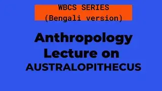 Australopithecus #viral , #trending //Primate Evolution