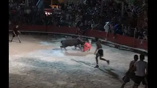 Vendargues ▶toro piscine◀ 21.07.2023🤣🤣🤣.