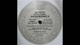 North Central Positronics - The Great Bear [INT005]