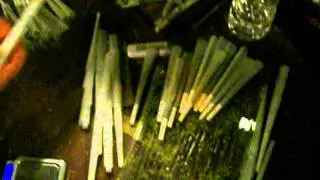 Rolling with the Hashmob