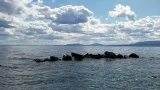 View of Flathead Lake from the Woods Bay Fishing Access Site near Bigfork,  Montana