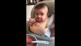 Starting Solids at 6 months old