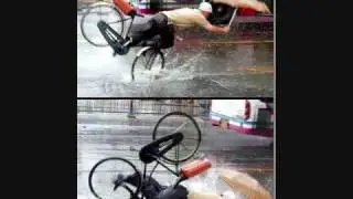 hilarious pictures taken at the right moment 2