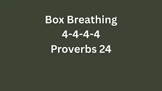 Proverbs 24  Box Breathing Bible Meditation with Rain Background Noise