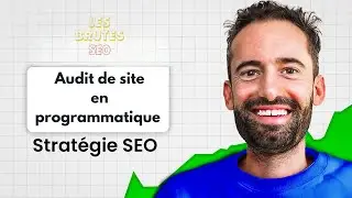 J'audite des Sites 100% SEO programmatique - Les brutes SEO sp&eacute;cial programmatique