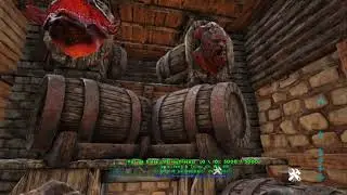 Ark shop ancienne version