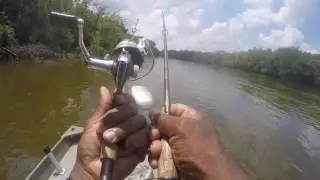 Channel Cat fishing 2017