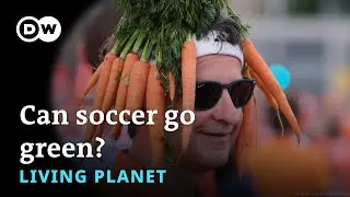 The most sustainable Euros ever? &ndash; Living Planet