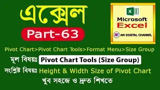 63, Pivot Chart Tools (Size Group) in Excel Bangla | Height & Width Size of Pivot Chart Excel Bangla