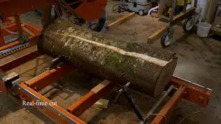 #slaburday saturday - Sawing 8/4 Live Edge Slabs of Red Alder on the Wood-Mizer LT15 Wide Electric