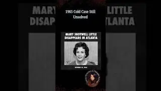 The Secretary Who Vanished | Mary Shotwell Little Mystery ✏️