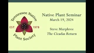 2024 MarchSeminar Murphree